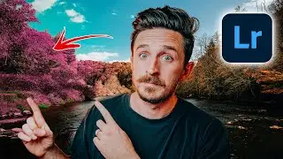 How to Use the POINT COLOR Tool in Lightroom!