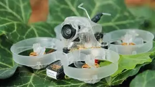 I got the NewBeeDrone AcroBee65 V3