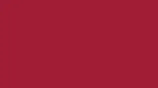 Vivid Burgundy Screen | 1 HOUR of VIVID BURGUNDY | 60 Minutes of Vivid Burgundy