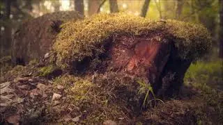 Возвратив женщину, подумайте об этом...
