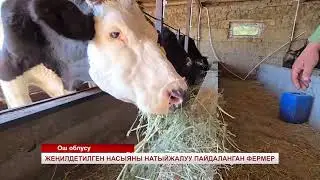 Имтиёзли насиядан самарали фойдаланган фермер