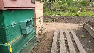 Облёт...  🐝🐝🐝🐝🐝
