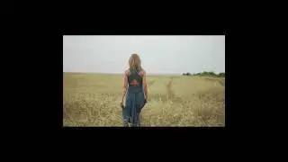 Stupid Trailer