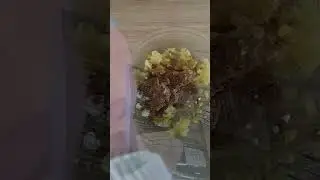 Несбиваемая эластичная насадка для рыбалки на поплавок и донки ☣ 