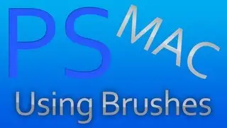 How to install and Use Brushes