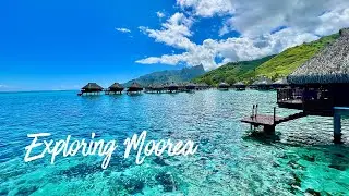 Overwater at The Hilton Moorea: Diving, Exploring, and Relaxing in French Polynesia