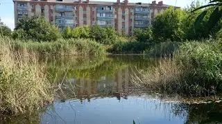 Славянск 17 августа 2024 — озеро за стадионом Химик.