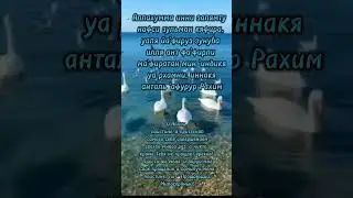 #amin🤲📿