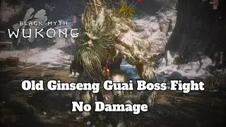 Black Myth Wukong - Old Ginseng Guai Boss Fight [No Damage]