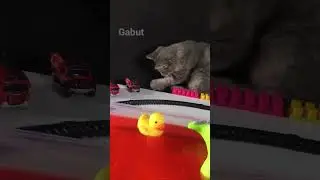 Bocil Gabut  