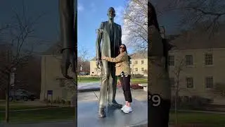 Compared to the tallest man in the world 