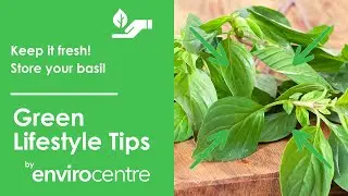 Keep Your Basil Fresh - EnviroCentre