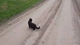 #День