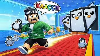 I STOLE THE RAREST PENGUIN BABY! 🐧 - Roblox
