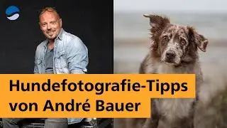 Hundefotografie-Tipps von André Bauer
