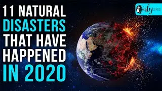 11 Natural Disasters Of 2020 | Curly Tales