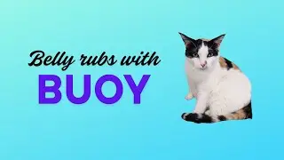 Belly rubs with Buoy