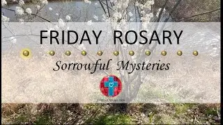 Friday Rosary • Sorrowful Mysteries of the Rosary 💜 April 26, 2024 VIRTUAL ROSARY - MEDITATION
