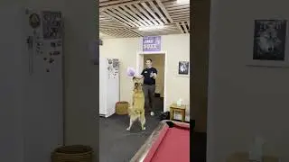Cooper practicing Volleyball