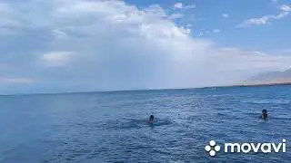последний день на отдыхе ,шутка для Ромы.