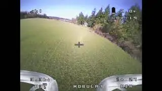 Mobula 7 in the Big Field