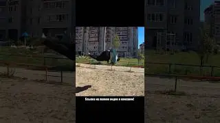 ПЕРЕДНЕЕ Сальто И Колесо ВИНТ 🤯 