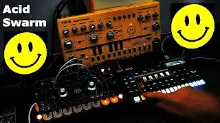 Acid Swarm  - Eowave Quadrantid Swarm  - Behringer TD-3  - Roland TR-6S