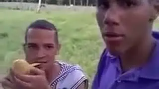 Manguito clasico |video gracioso