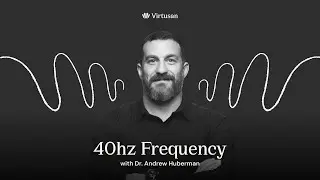40hz 