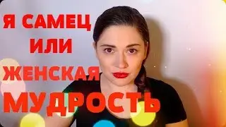 Я самец или женская мудрость. Ася Андерс
