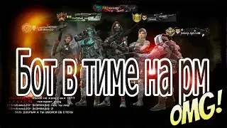 Бот в тиме на РМ
