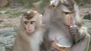 It's amazing that Leo has now returned to Libby Coz he saw her alone.​He looked at Libby intently.