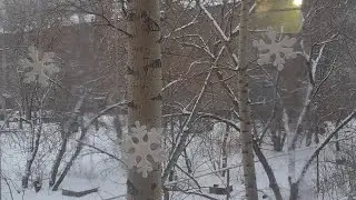 Декретные будни
