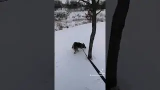 Ищем место чтоб посрать! 