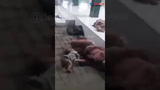Bapak yang melihat ibu dan anak-anaknya tertidur di masjid