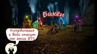 BDO Бихён: Гайд
