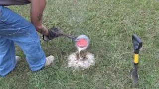 Double Fire Ant Mound Aluminum Casting