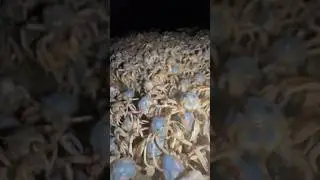 I JOINED A SECRET CRAB RAVE! 