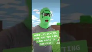 WHEN YOU CAN'T FIND YOUR MINECRAFT HOME AT NIGHT