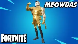 Meowto