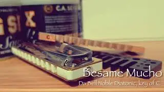 Besame Mucho (베사메 무쵸) - Diatonic Harmonica