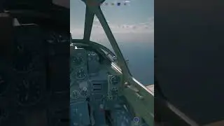 Nice resolution, bro - Enlisted Shorts