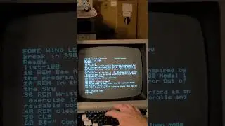 TRS-80 Model 4: Bee Analyzer program I wrote, inspired by the 1978 film, Terror Out of the Sky