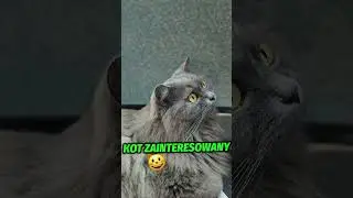 Jak kreatywnie rozbudować swoją stronę internetową, aby przyciągała tłumy