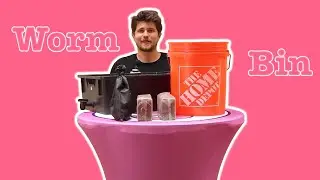 How to Start a Worm Bin - Step by Step easy guide