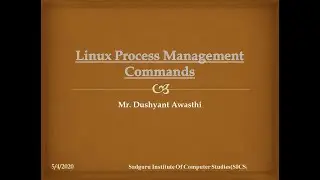 Linux Process Management Commands
