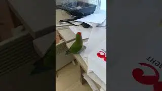 Экошредер для бумаги