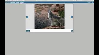 Animals in the Desert (G1U2W3)