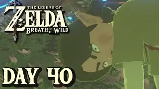 Don't Step On The Flowers - Breath of the Wild | DAY 40