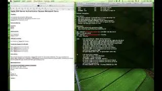 Tectia SSH Server Authentication Bypass Metasploit Demo